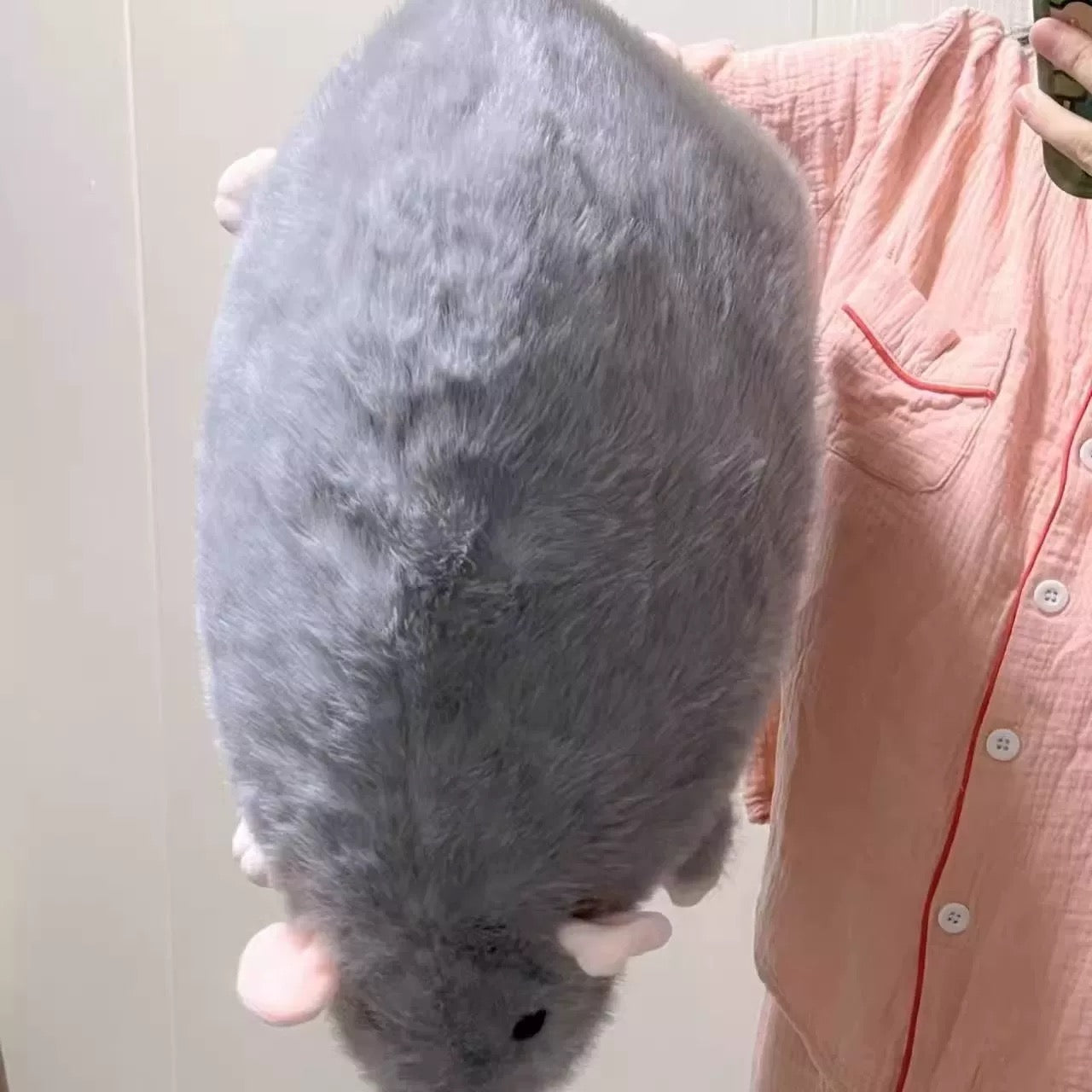 Chonky Rat Plushie